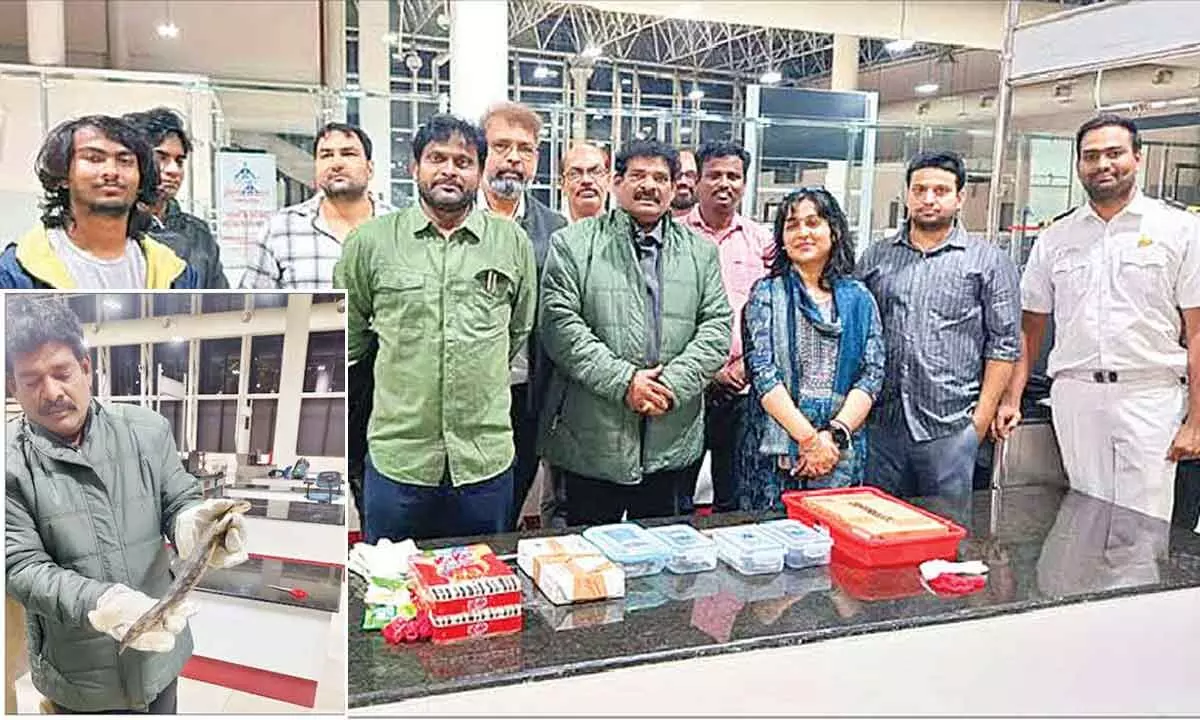 Six exotic lizards seized at Vizag airport