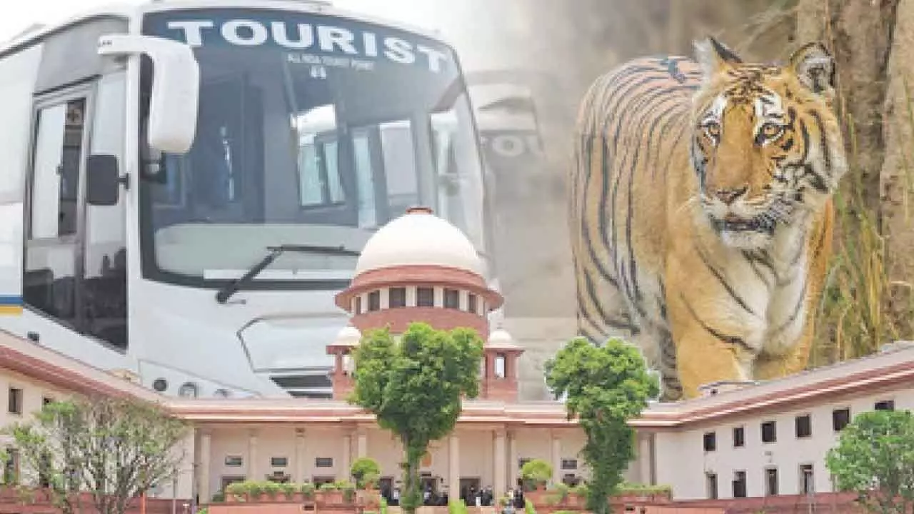 Pvt buses in Corbett area: SC emphasises on having ‘balanced view’