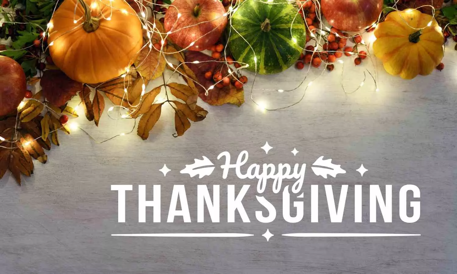 25 Happy Thanksgiving 2024 Wishes, Messages & Quotes to Share Gratitude