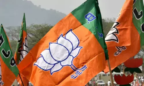 Complete bridge at earliest: BJP