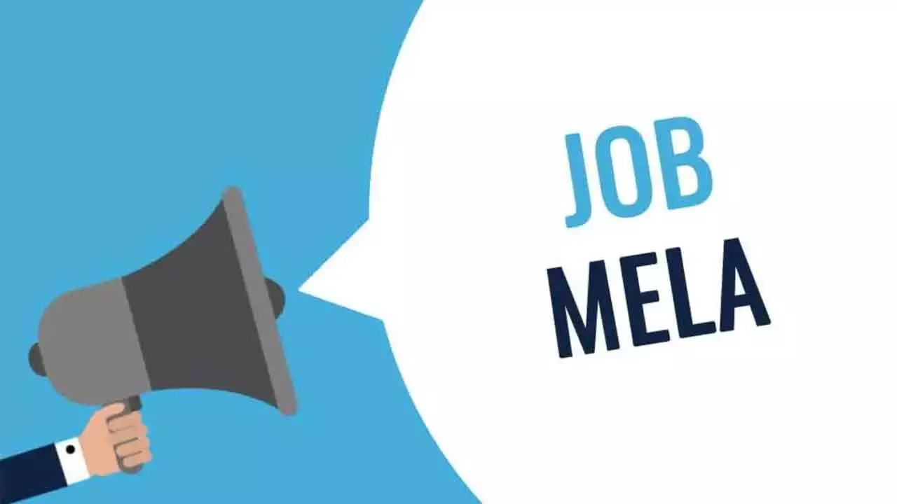 Job Mela: Over 2,500 secure jobs in various companies