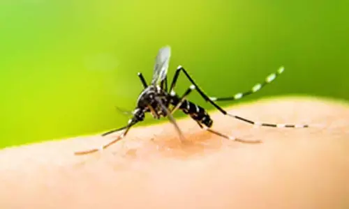 Study of parasite genomes may predict malaria drug resistance