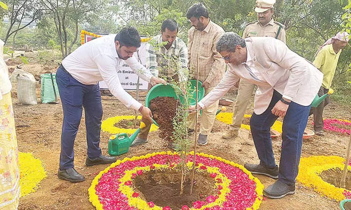 53 saplings planted on UAE National Day