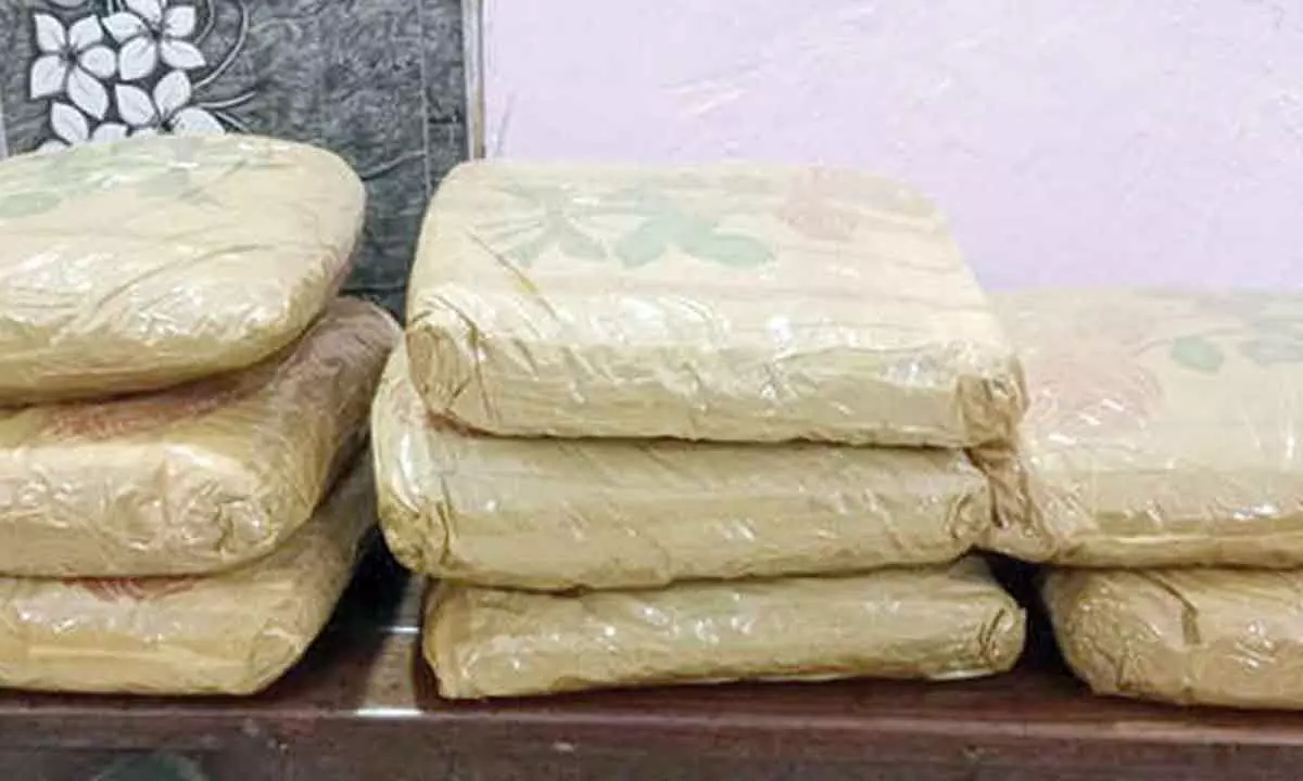 Five held, 20 kg ganja seized