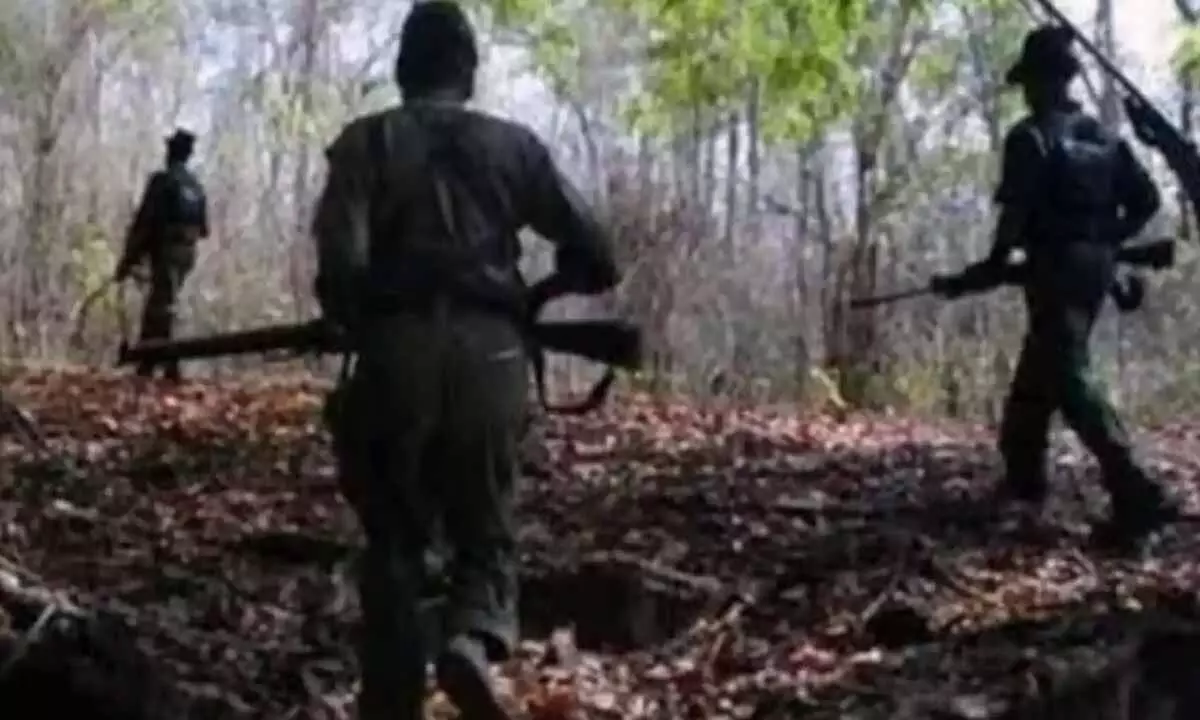 Major Encounter in Mulugu: Seven Maoists, Including the Key Leaders, Neutralized