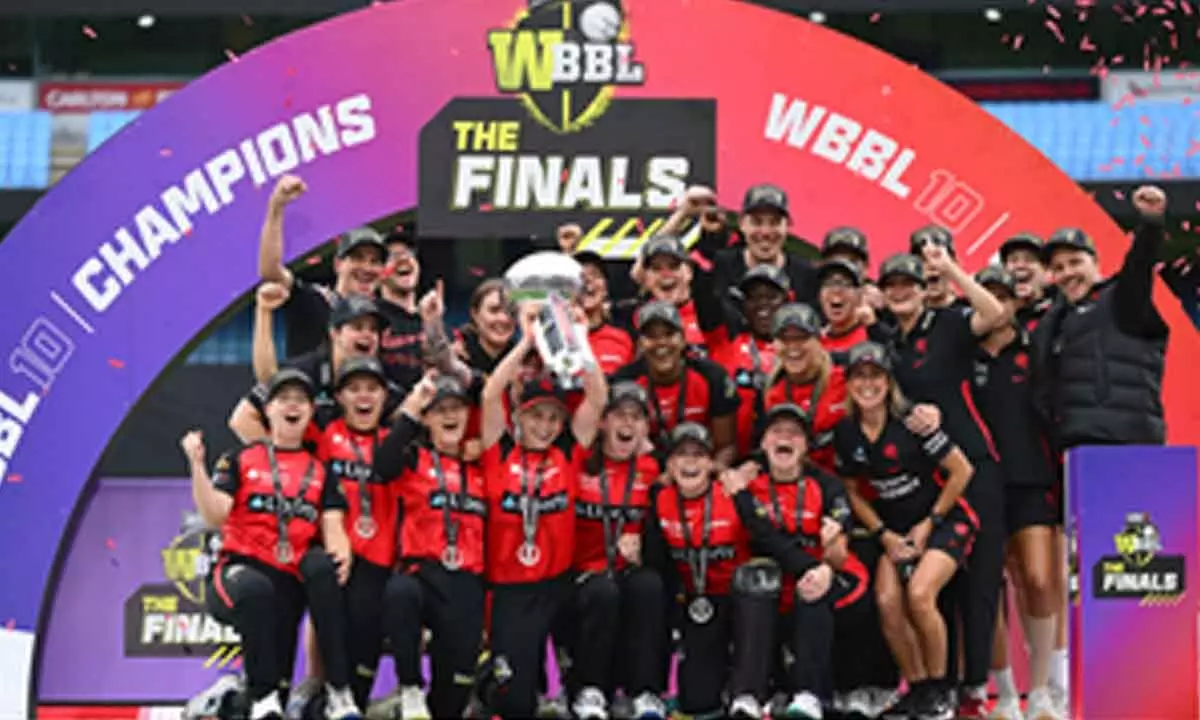 Melbourne Renegades complete fairytale journey with maiden WBBL title