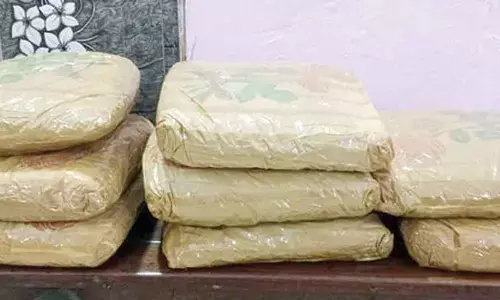 Five held, 20 kg ganja seized