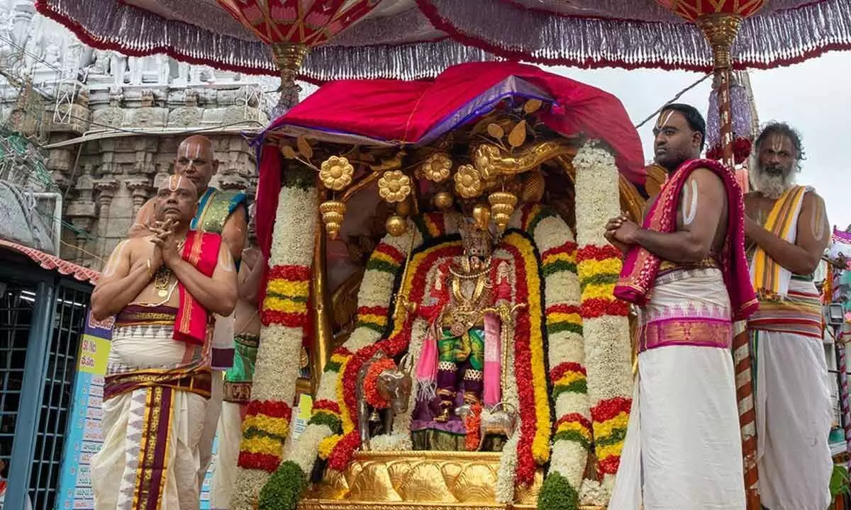 Goddess rides on Kalpavriksha, Hanumantha Vahanams