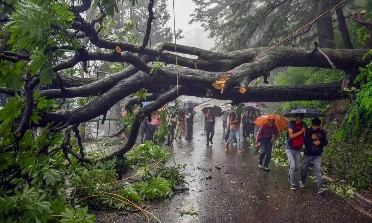 Cyclone Fengal weakens