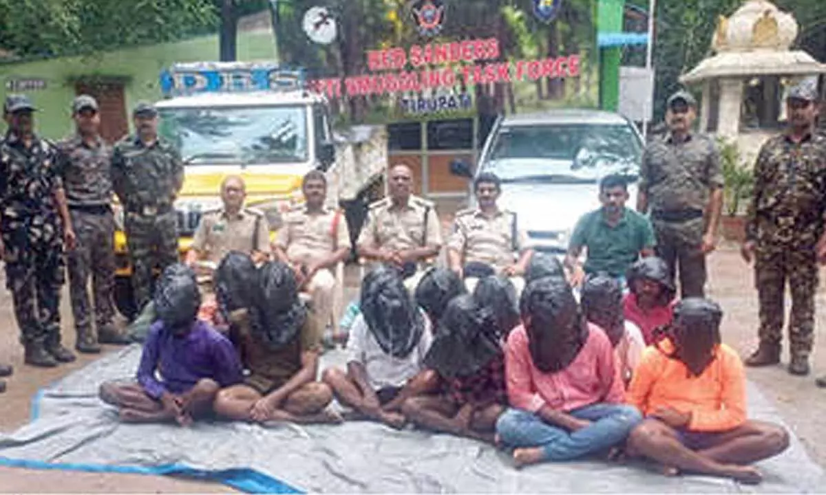 14 held for entering into restricted forest area