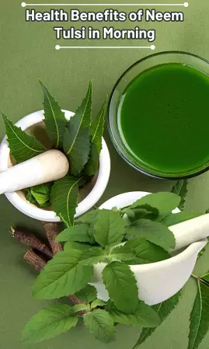 Health Benefits of Neem-Tulsi in Morning