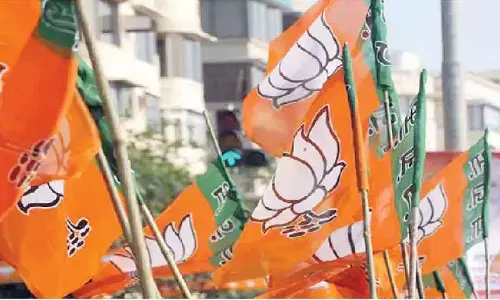 BJP likely to get new president by February