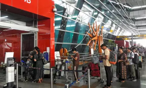 India’s domestic air passenger traffic to see 7-10 pc growth in FY25