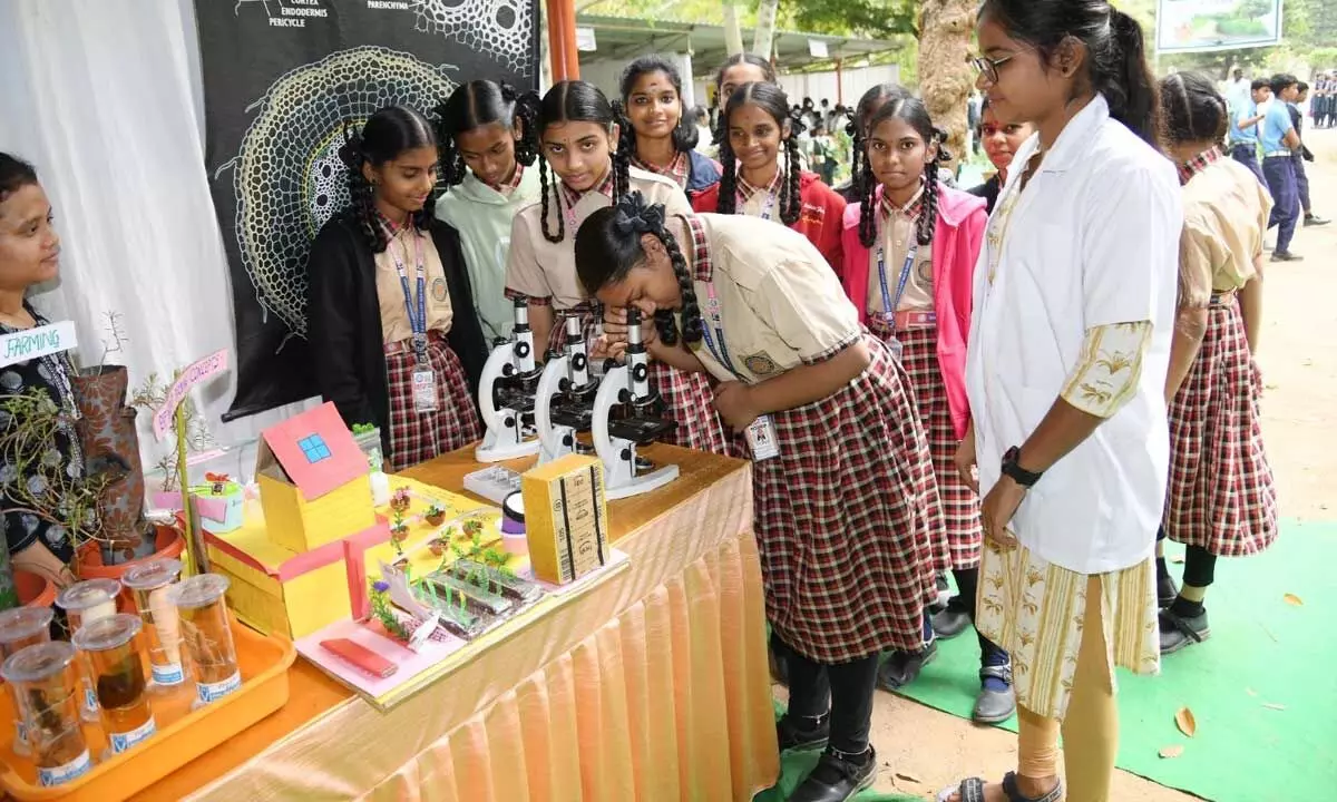 Over 2,000 students take part in Agricultural Education Day fete