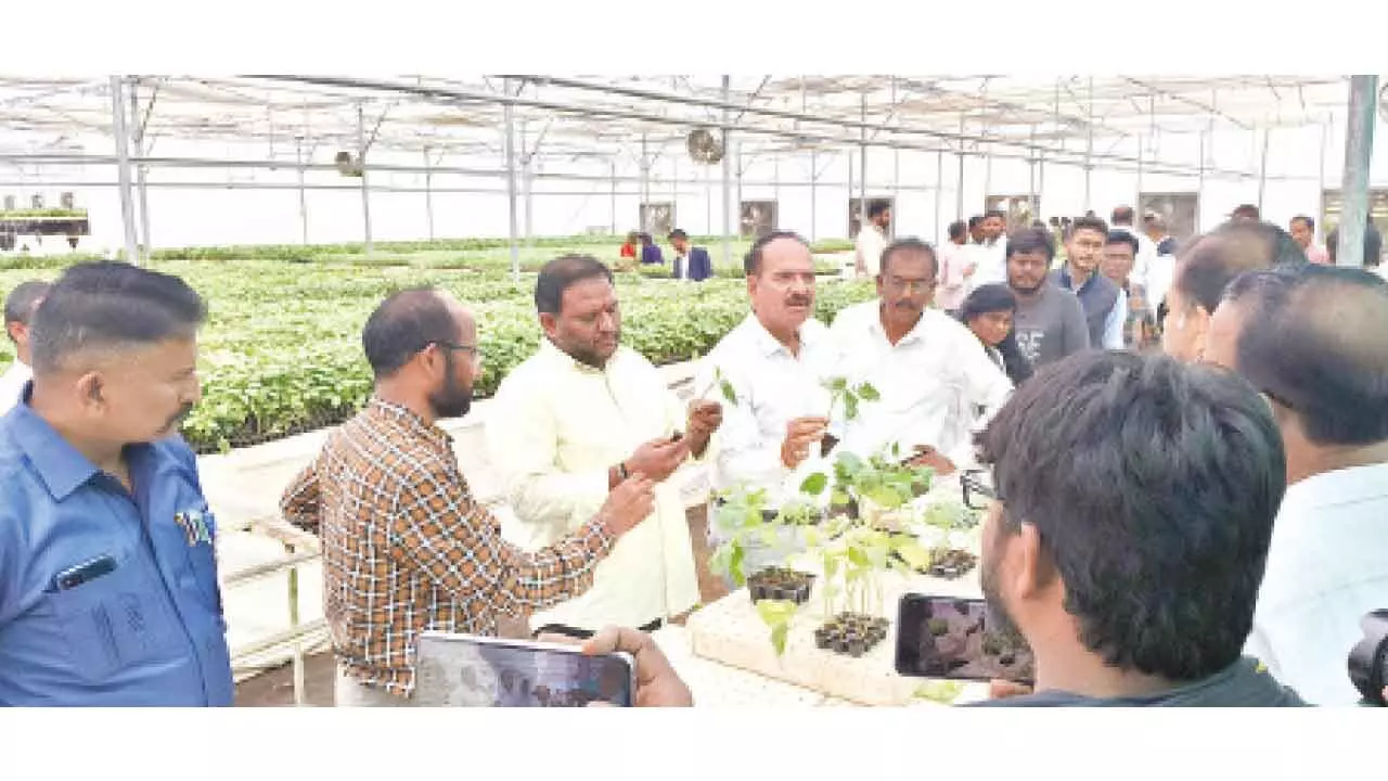 MLC K Srikanth and horticulture department officials during the training programme at CoE in horticulture in Kuppam on Tuesday