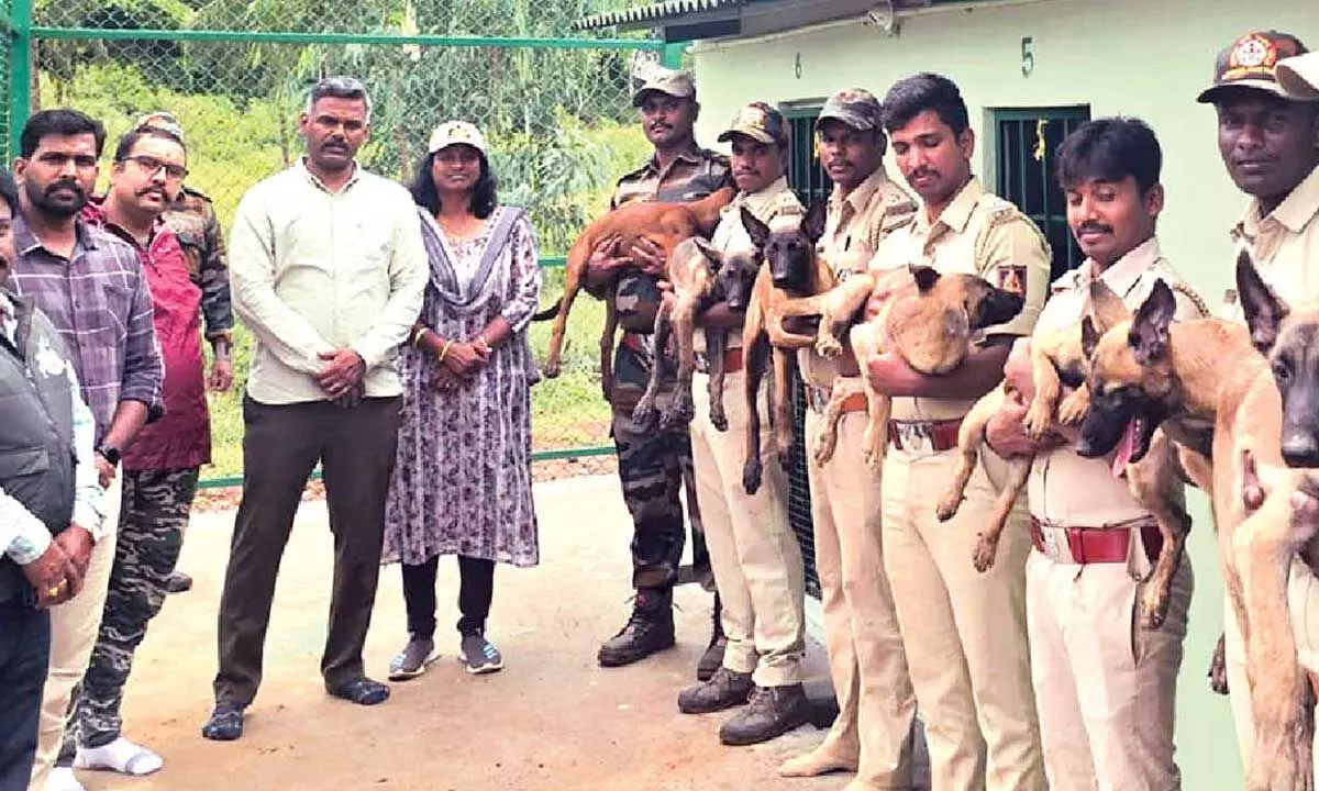 First Dog Training Centre opens in Bandipur Tiger Reserve