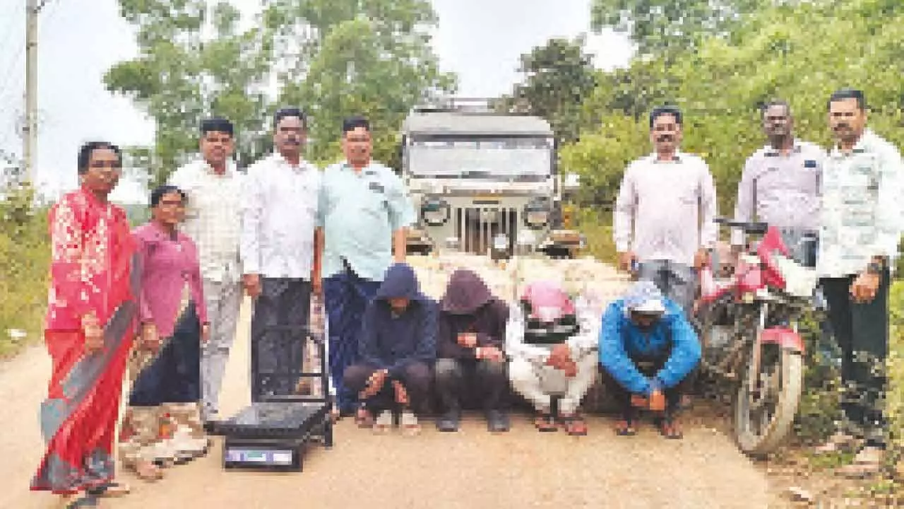 Alluri Sitarama Raju district police with accused and seized ganja at Edulabayalu Junction in G Madugula mandal