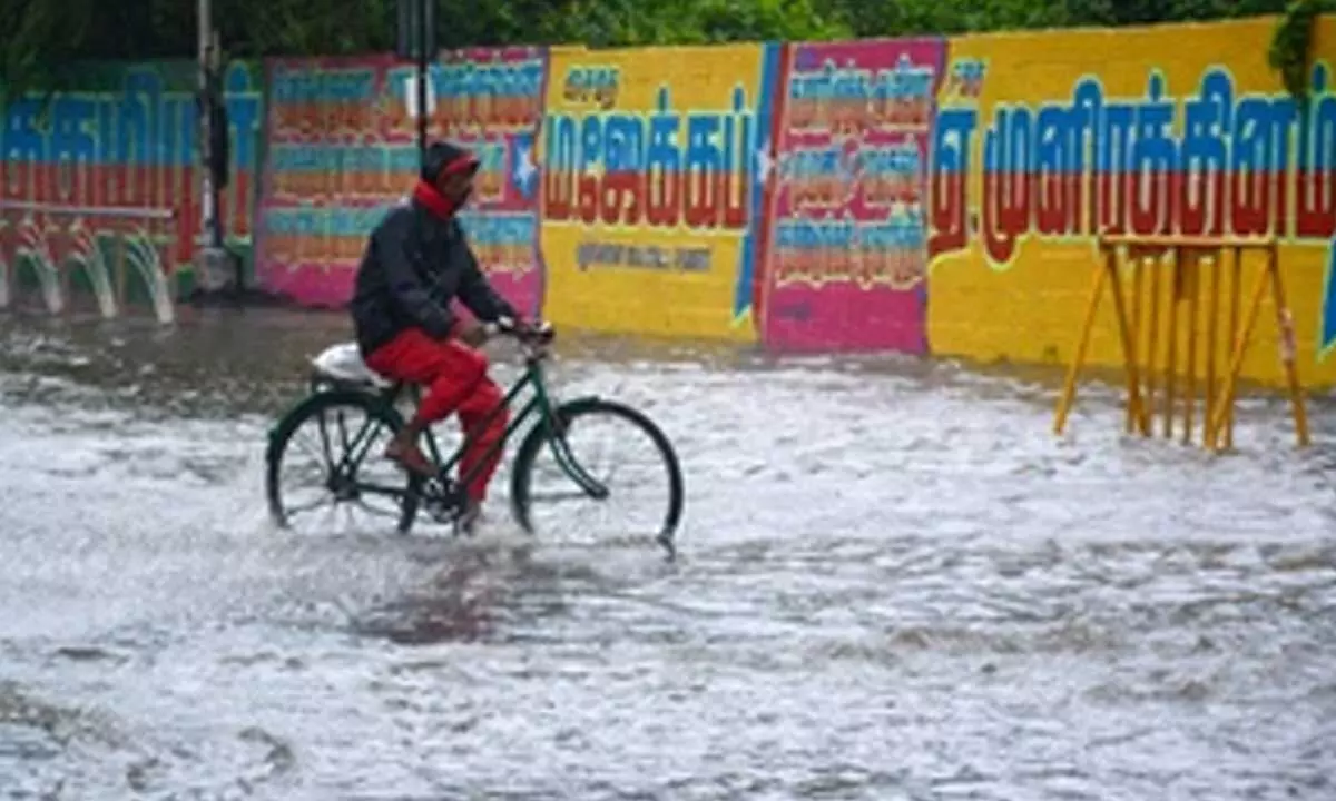 Tamil Nadu rain: Holiday declared for schools, colleges in Villupuram, Cuddalore