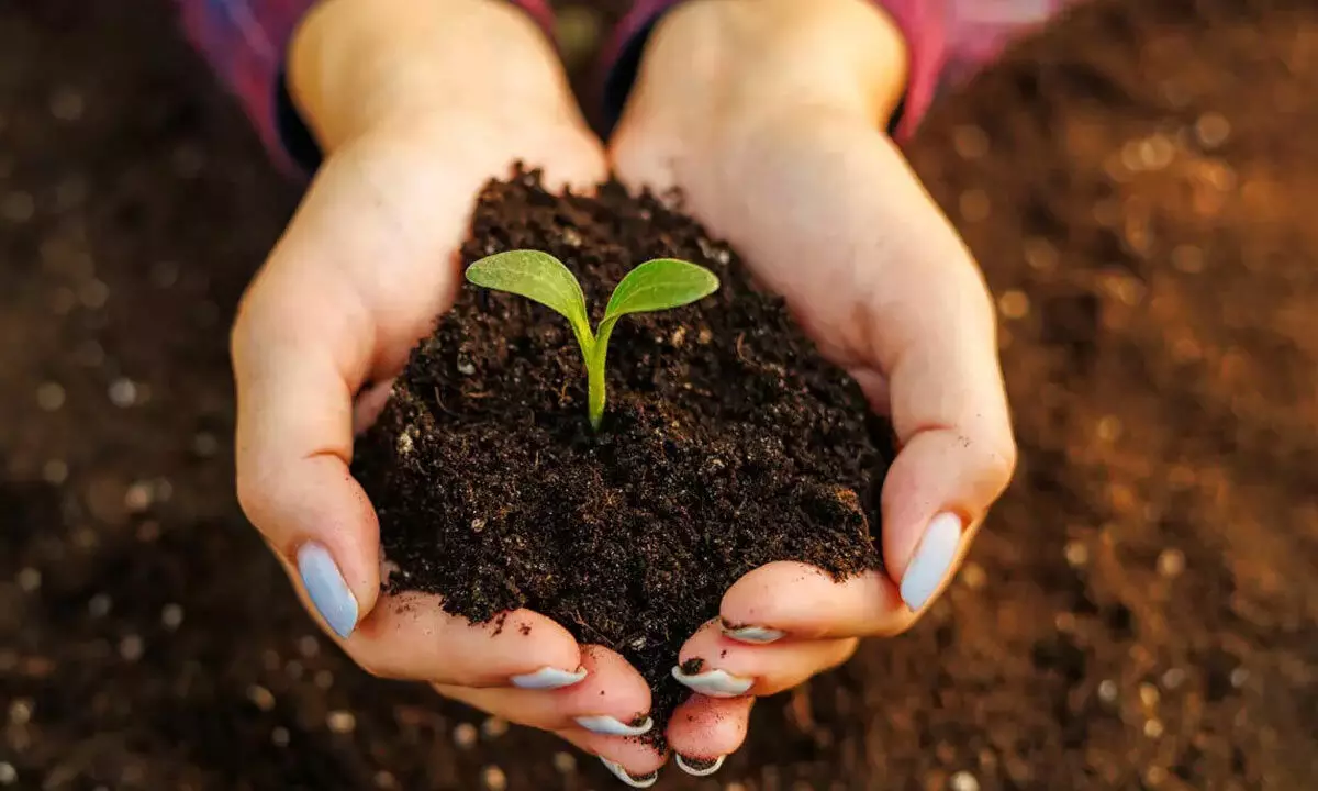 Role of soil in supporting life on Earth