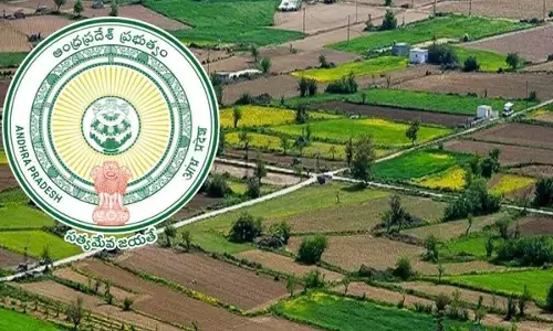 Revenue Sadassulu to be held from Dec 6 to 8