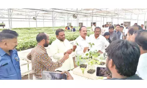 MLC K Srikanth and horticulture department officials during the training programme at CoE in horticulture in Kuppam on Tuesday