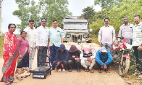 Alluri Sitarama Raju district police with accused and seized ganja at Edulabayalu Junction in G Madugula mandal