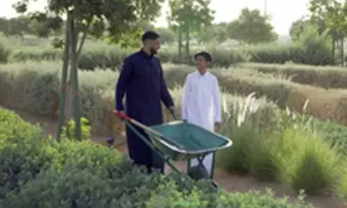 Saudi Arabia announces five initiatives to enhance afforestation