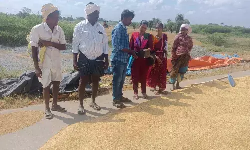 Special Officer Narmada Visits Paddy Procurement Center in Nadigadda Village