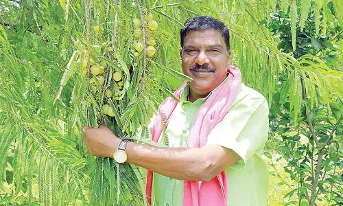 Nalgonda ryot bags ICAR’s ‘Millionaire Farmer of India’ Award