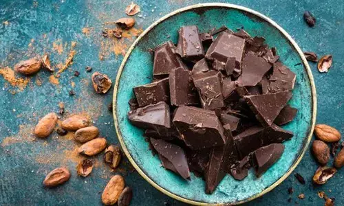 Eating dark, but not milk, chocolate may cut diabetes risk: Study