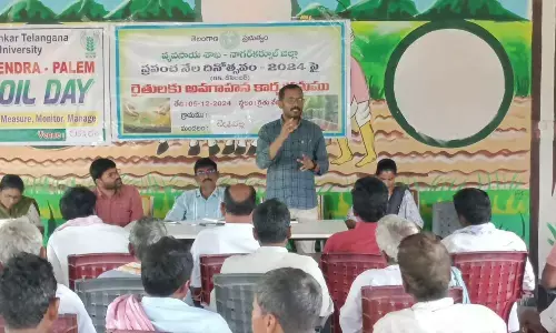 Agriculture Scientists Raise Awareness Among Farmers on World Soil Day