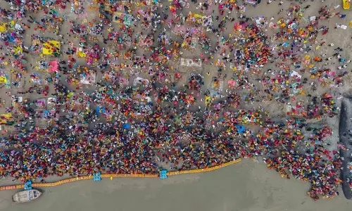 50K plants to greet devotees upon entering Maha kumbh