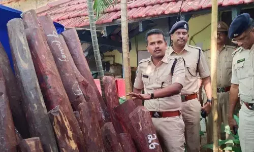 SP Satish Kumar showing the red sander logs seized in a lorry at Kaza Toll Plaza at Mangalagiri Rural Police Station in Guntur on Friday
