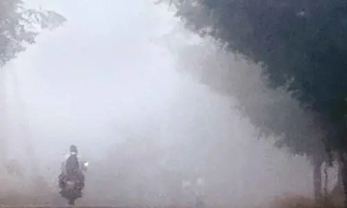 Nagarkurnool: Dense fog blankets district
