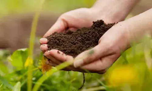 Rwanda launches agriculture strategy to build resilient, sustainable agri-food systems