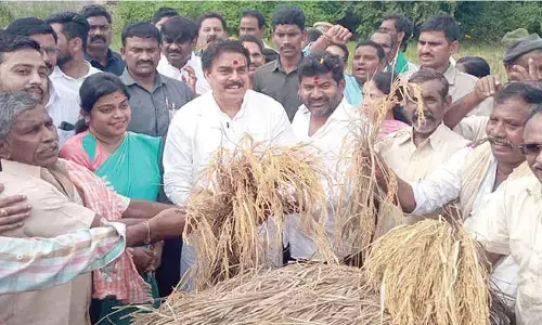 Govt spending Rs 14K cr on education, says Manohar