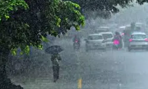 Rains Likely in Andhra Pradesh Amid Low Pressure System