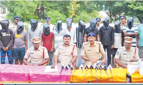 Prakasam police bust massive ganja racket, arrest 12 people
