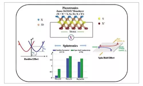 INST researchers find promising materials for next-gen electronic devices