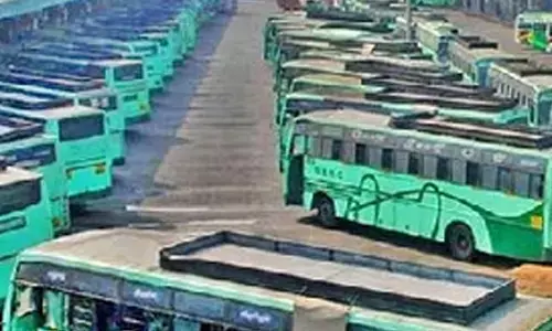 TN to run 10,109 buses for Karthigai Deepam festival