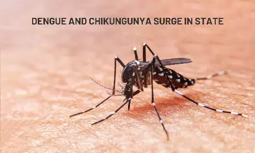 Telangana: Dengue and Chikungunya Surge in State