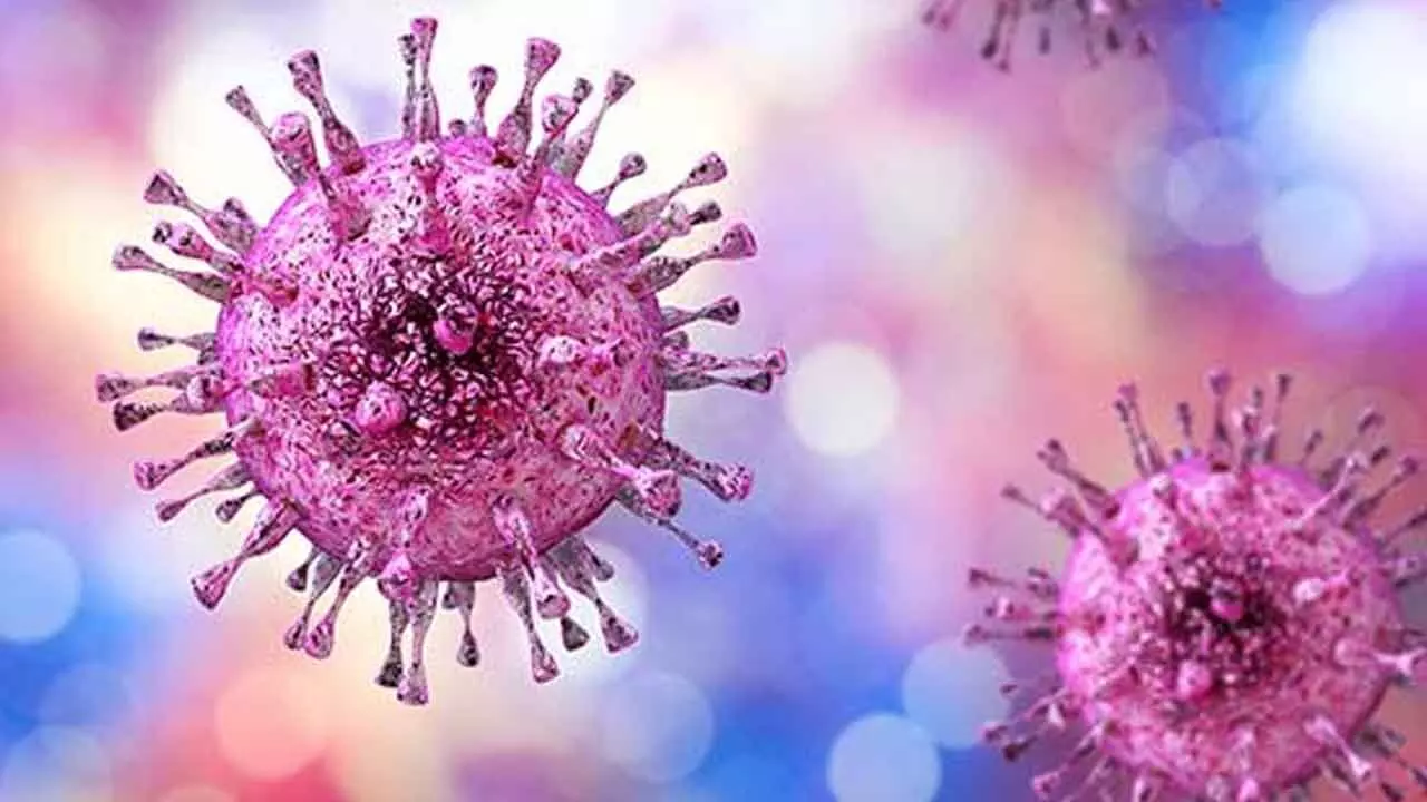 1 person globally acquires new genital herpes infection every second: WHO