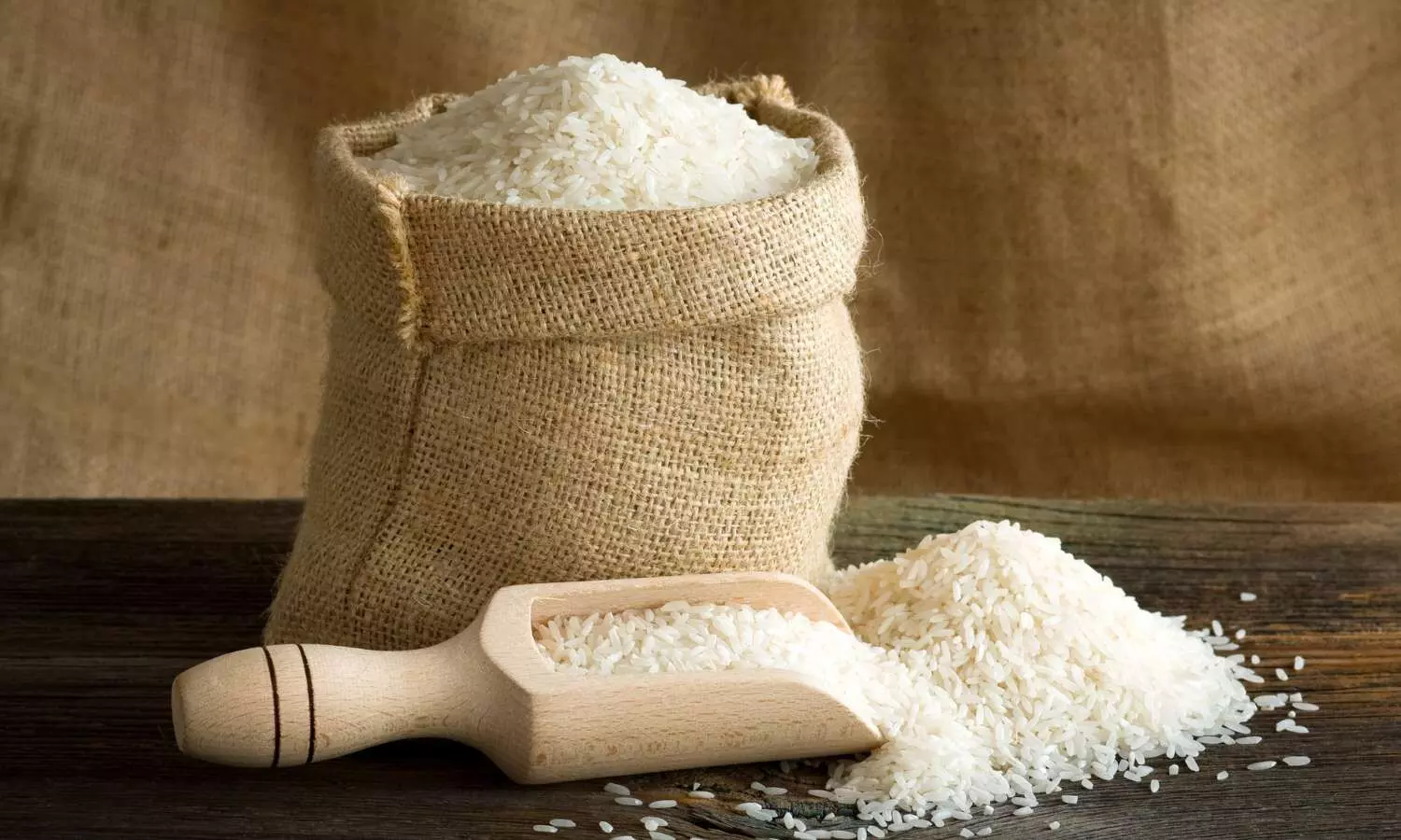 Ration Rice Smuggling in Andhra Pradesh: Governments Efforts to Control Illegal Trade