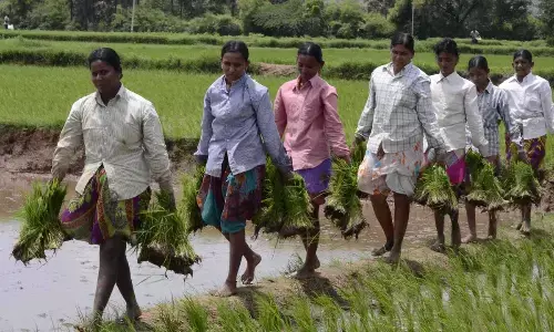 Rythu Bharosa only for active farmers