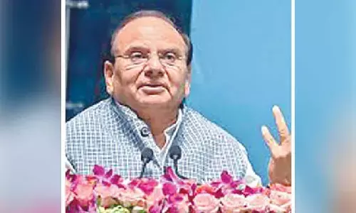 LG orders drive to identify illegal immigrants