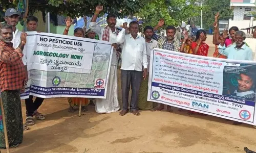 Dalit, women, and human rights advocated