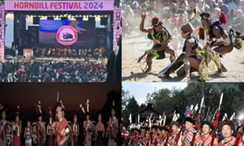 With over two lakh visitors, Nagaland’s iconic Hornbill festival registers popularity