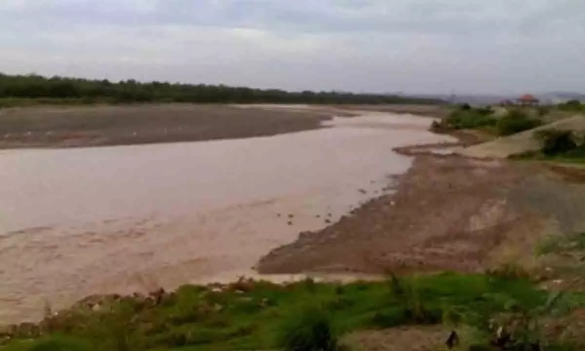 Ghaggar river’s two stretches identified as polluted: Govt Ghaggar river’s two stretches identified as polluted: Govt