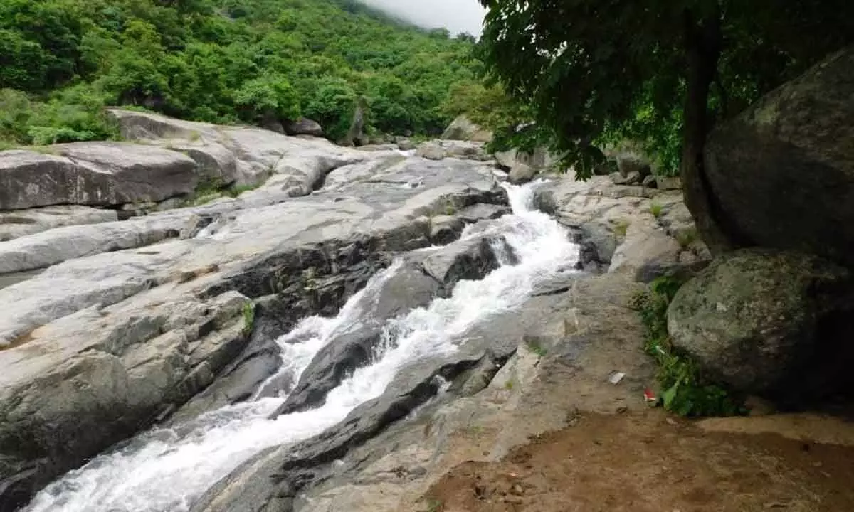 Pollutants from Odisha flow into Mahendra Tanaya river