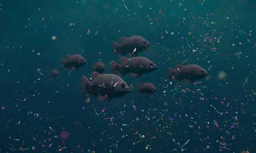 Act Decisively On Microplastics